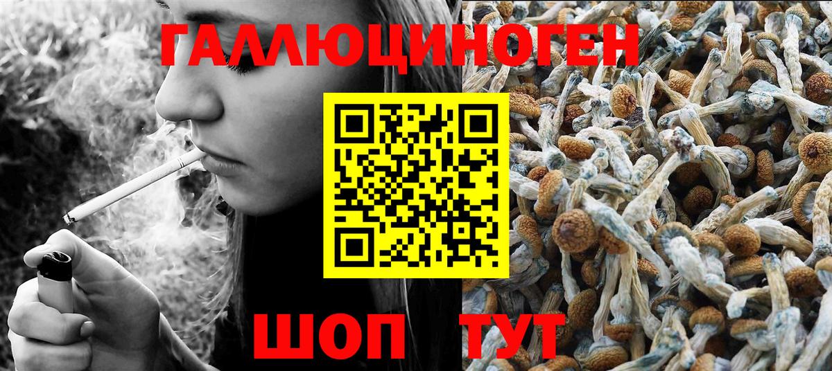 Псилоцибиновые грибы ЛСД Бор