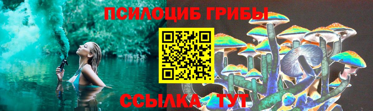 Псилоцибиновые грибы Magic Shrooms  закладки  Бор  Вход с VPN 