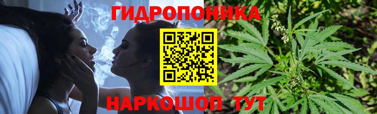 Шишки марихуана семена  Конопля MAZAR  Бор  Каннабис White Widow  Вход с VPN 